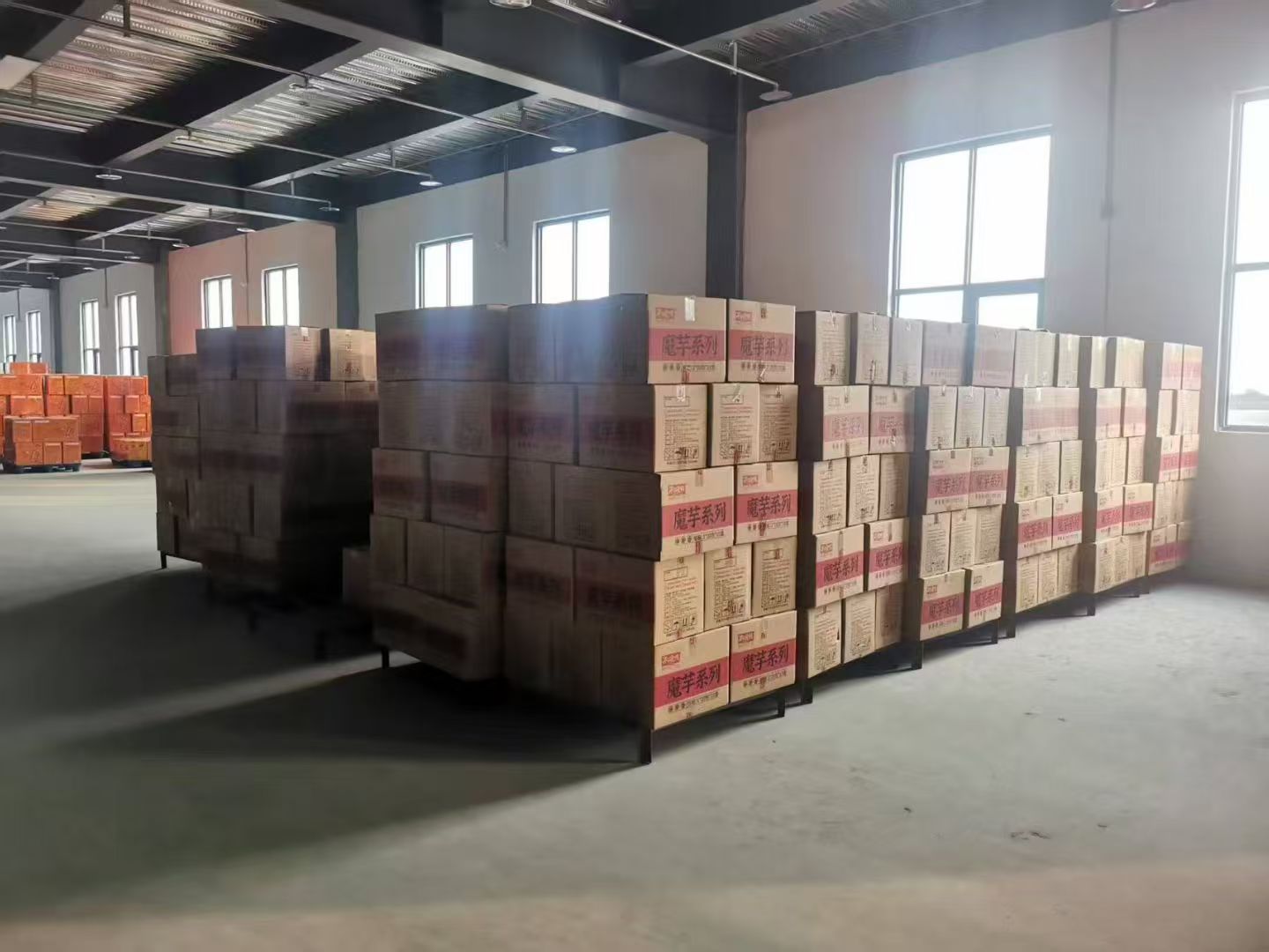 Spicy Snack Manufacture